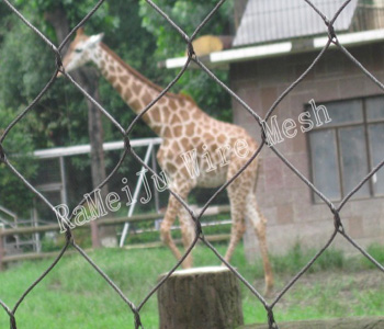 Giraffe Enclosure Mesh
